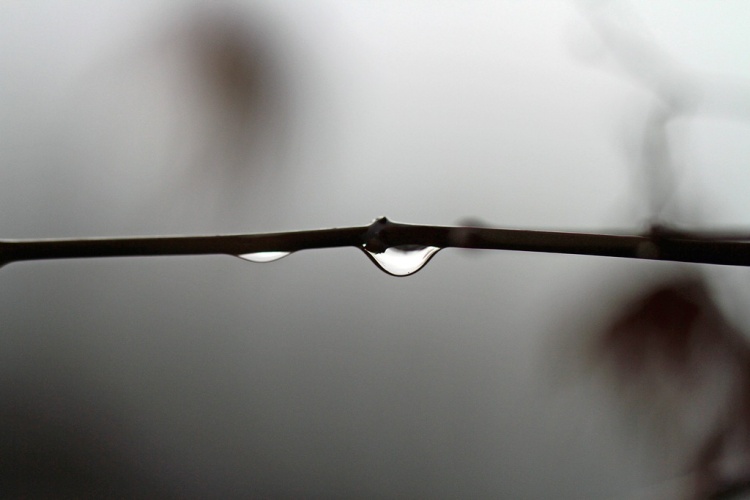 photograph by Judith Stahl Schidlowsky